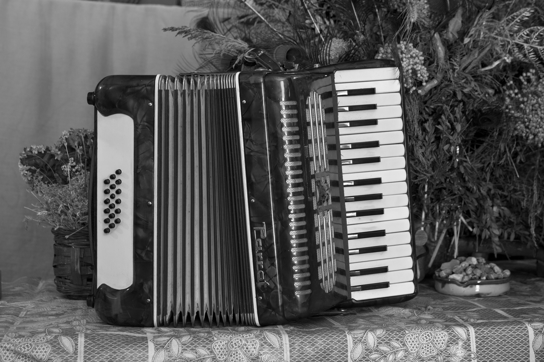Darrer acordió -marca Parrot- de l'Alfons Faig i Renart (Arxiu del Grup de Recerca Folklòrica de la Garrotxa - Santi Plana, 2025).